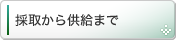 採取から供給まで