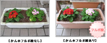 発芽促進、開花数増加効果