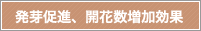 発芽促進、開花数増加効果