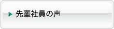 先輩社員の声 先輩社員の声
