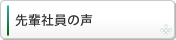 先輩社員の声