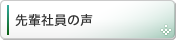 先輩社員の声