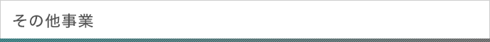 その他事業