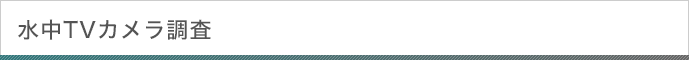 水中TVカメラ調査