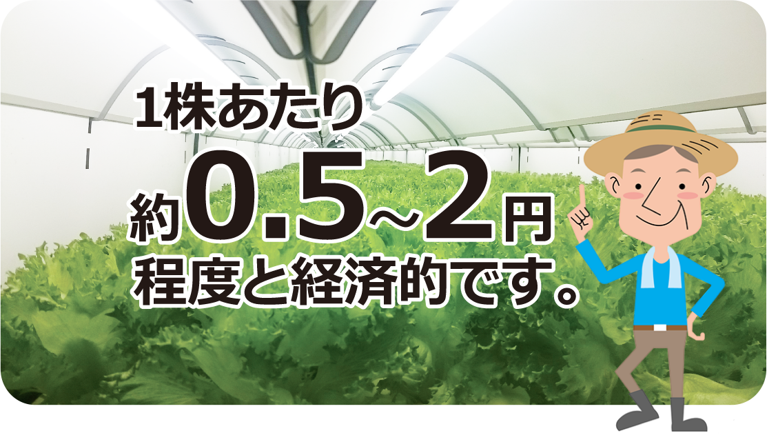 1株あたり約0.5?2円程度と経済的です。