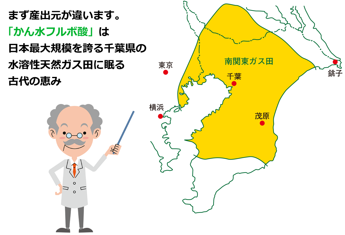 まず産出元が違います。「かん水フルボ酸」は日本最大規模を誇る千葉県の水溶性天然ガス田に眠る古代の恵み