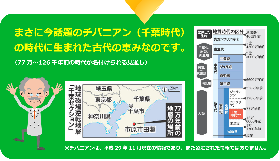 まさに今話題のチバニアン（千葉時代）の時代に生まれた古代の恵みなのです。（77万?126千年前の時代が名付けられる見通し）