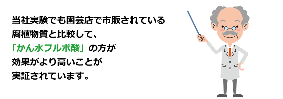 当社実験でも園芸店で市販されている腐植物質と比較して、「かん水フルボ酸」の方が効果がより高いことが実証されています。