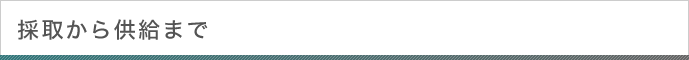 採取から供給まで