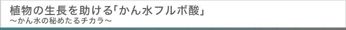 植物の成長を助ける「かん水フルポ酸」