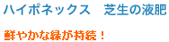 ハイポネックス 芝生の液肥